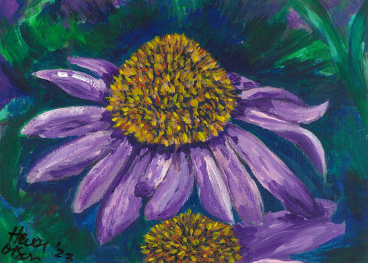 Echinacea (Digital Download)