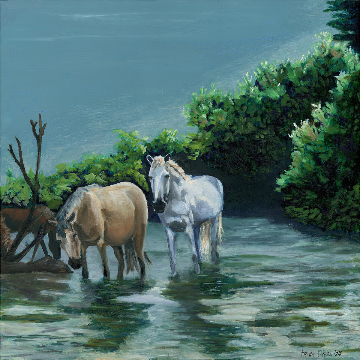 Salt River Mustangs [20x20 Canvas Print]